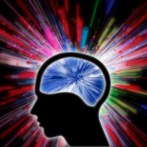 Science Spotlight: Mindfulness and Neuroplasticity